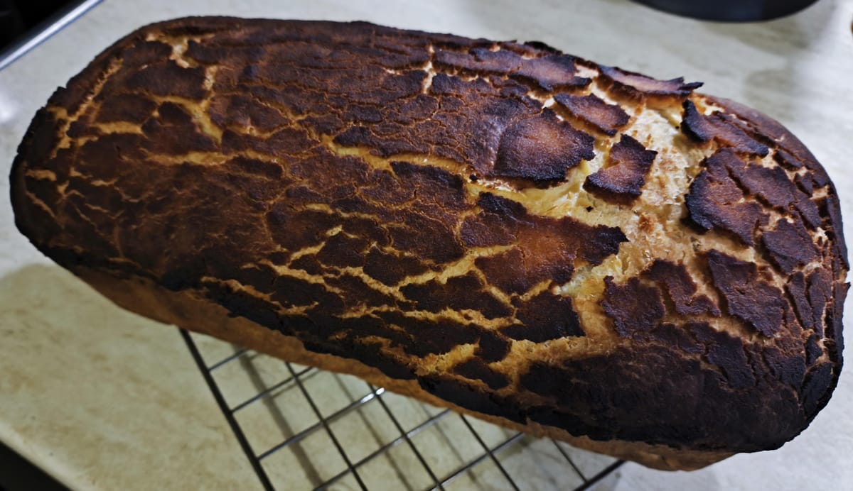 Тигров хляб